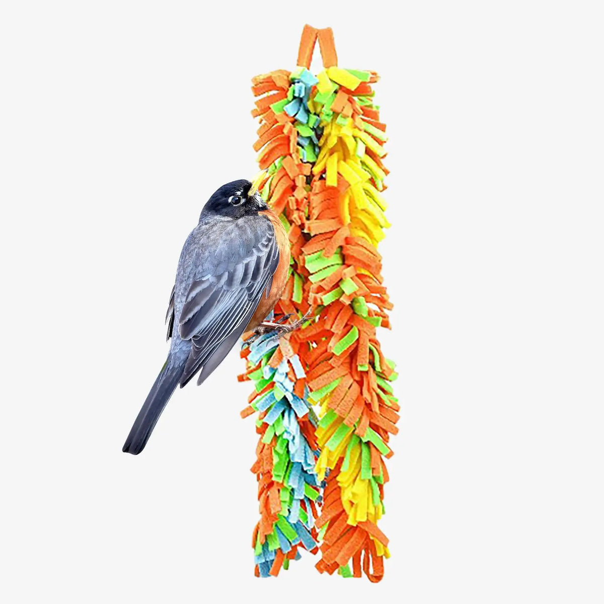 Parrot Knotted Rope Chew Toy Hanging Bird Cage Accessories Multicolor Cloth Supplies for Finch Conure Cockatiel