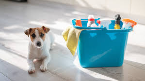 Cleaning Supplies