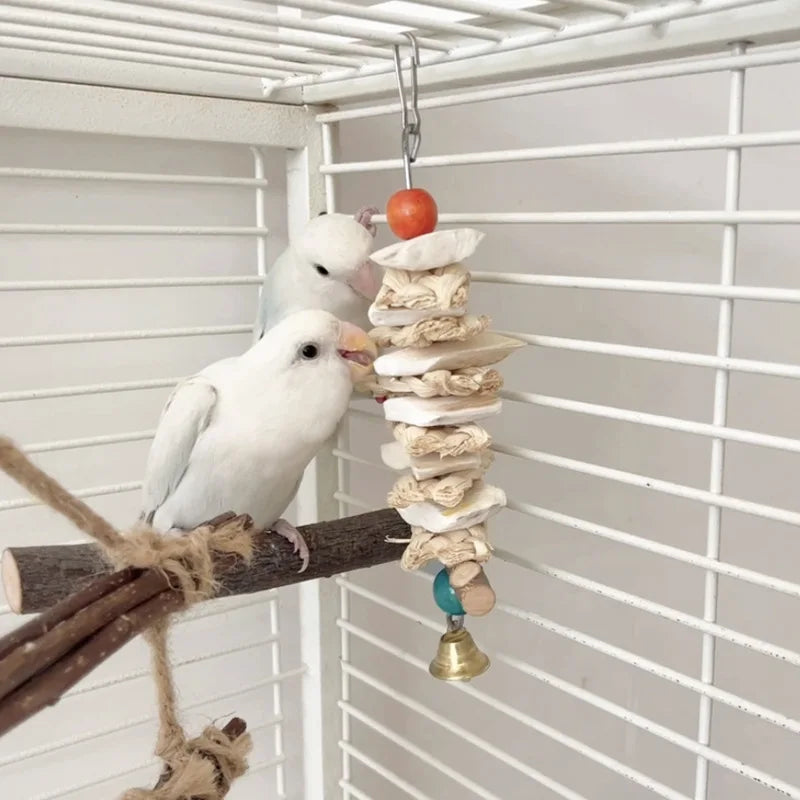 Natural Cuttlefish Bone Bird Chewing Toy Hanging Parrot Toy with Bell Calcium Supply