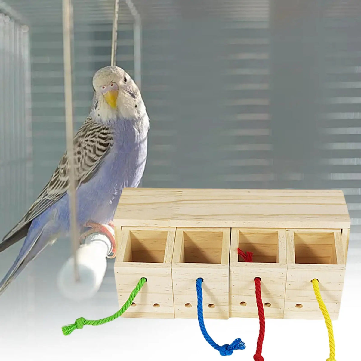 Forage Toy Wooden Bird Foraging Feeder Toy Chew Toy Bird Foraging Toy Parrot Feeder Box for Macaws Lovebird Budgies Anchovies