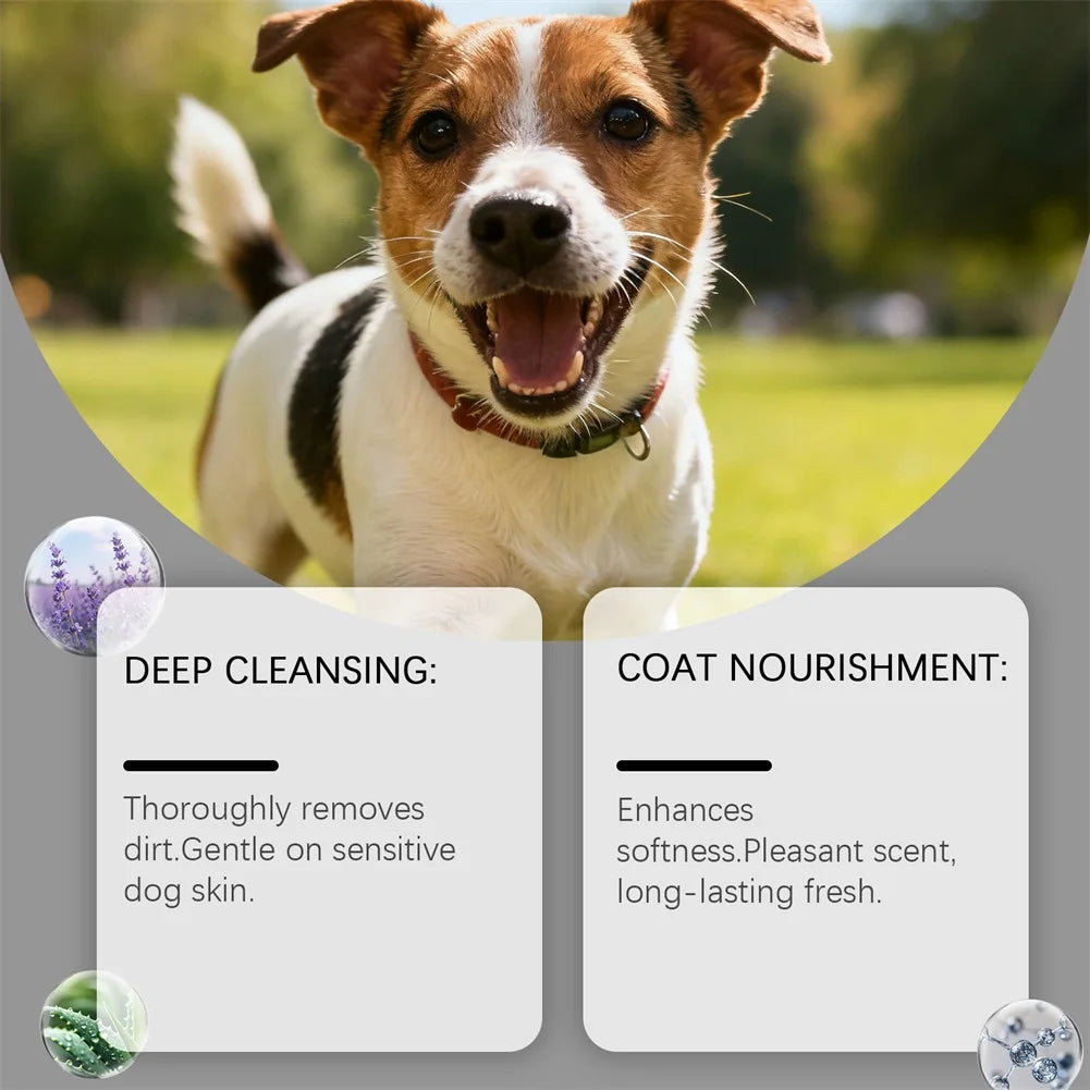 4 In 1 Dog Shampoo Conditioner Itchy Skin Oatmeal And Aloe Soothing Grooming Long-Lasting Freshness Odor Control Cleaning