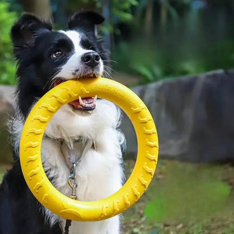 Dog Chew Ring Toy, EVA Flying Ring Disc, Durable Soft Bite‑Resistant Molar Interactive Outdoor Play Toy for Medium Large Dogs