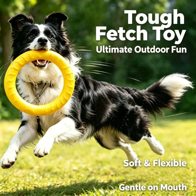 Dog Chew Ring Toy, EVA Flying Ring Disc, Durable Soft Bite‑Resistant Molar Interactive Outdoor Play Toy for Medium Large Dogs