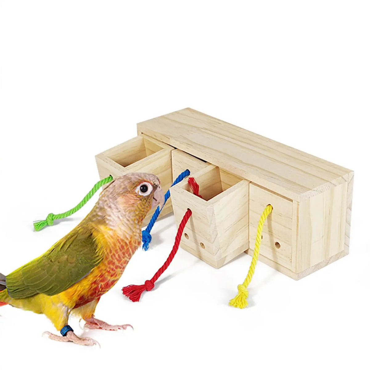 Forage Toy Wooden Bird Foraging Feeder Toy Chew Toy Bird Foraging Toy Parrot Feeder Box for Macaws Lovebird Budgies Anchovies