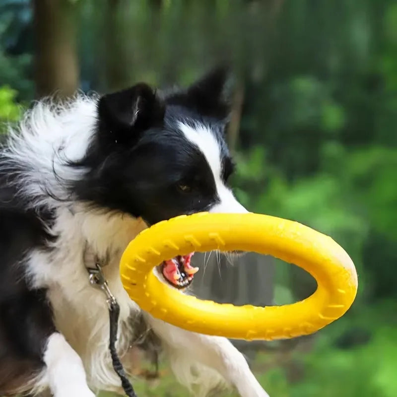 Dog Chew Ring Toy, EVA Flying Ring Disc, Durable Soft Bite‑Resistant Molar Interactive Outdoor Play Toy for Medium Large Dogs