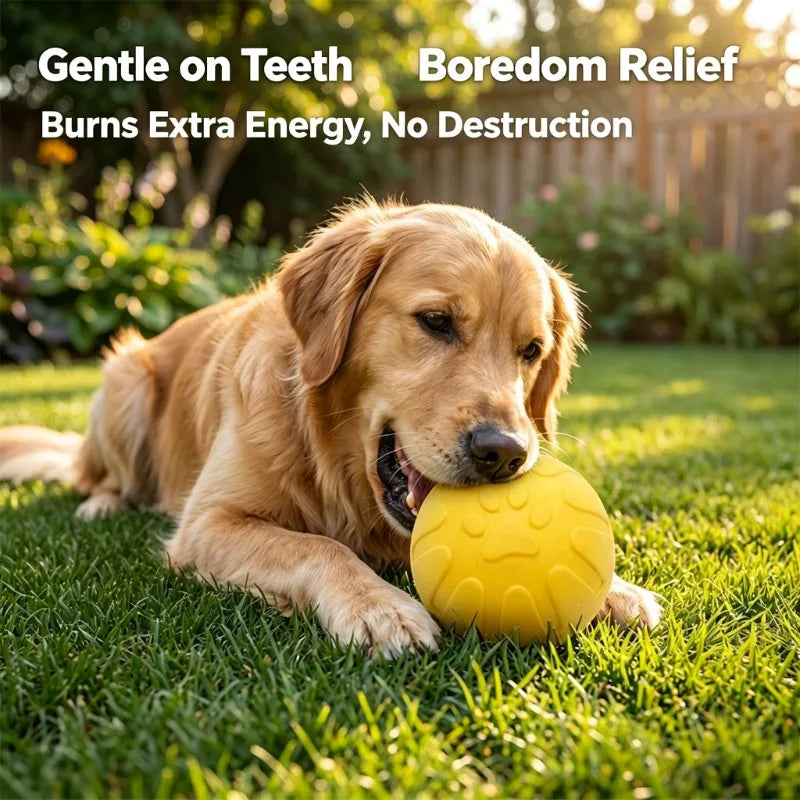 Dog Chew Ring Toy, EVA Flying Ring Disc, Durable Soft Bite‑Resistant Molar Interactive Outdoor Play Toy for Medium Large Dogs